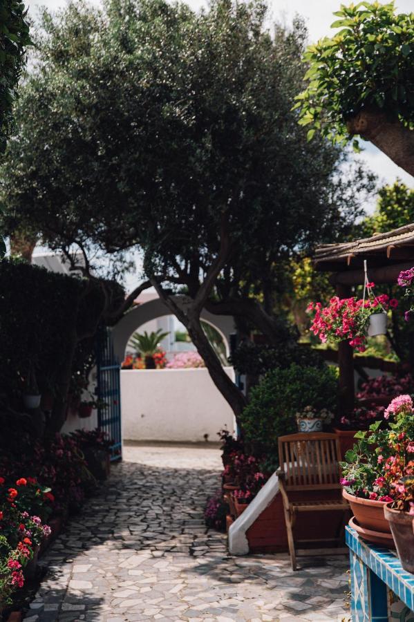 Hotel Villa Maria Sant'Angelo  Exterior foto